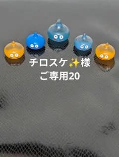★チロスケ✨️様ご専用20★
