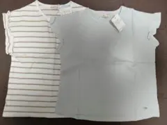 branshes ミント　ストライプ Tシャツ 2枚セット　プティマイン