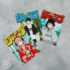 バックサイドワークス　ジャンプ　ステッカー　3種　✖︎3セット 2026年最新】バックサイドワークス ジャンプの人気アイテム - メルカリ