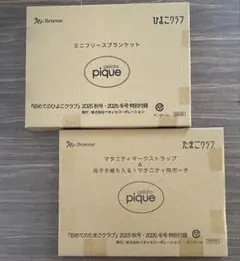 たまひよ付録　ジェラートピケ/ブランケット＆ポーチセット