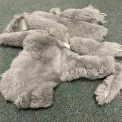 Item thumbnail for item 855827c8-8ba2-4a80-a87d-0f2fe660f426