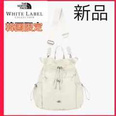 【日本未発売】ノースフェイス　リュック