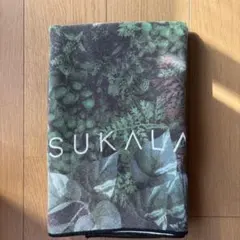 Item thumbnail for item af068861-dd53-4f91-8ade-c2c49d209b68