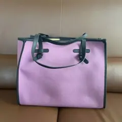 タグ付✨極美品✨ジャンニキャリーニ 2way 本革ショルダーバッグ 