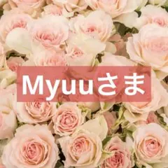 Myuuさま専用