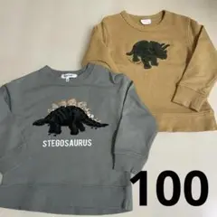 ⭐︎お買い得⭐︎恐竜トレーナー2枚セット