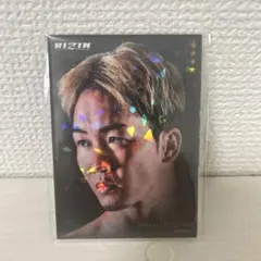 Item thumbnail for item 30ec373b-0a0d-47bb-9f3f-fd0f04919c36