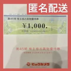 【送料無料・匿名配送】ビックカメラ株主優待券 14000円