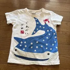 キッズ 半袖Tシャツ じんべいざめ なつのうみのサムネイル