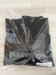 Item thumbnail for item f3b6a32f-7881-4122-a9a1-64e62b645317