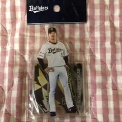 オリックス バファローズ 渡部遼人 アクスタ 2024