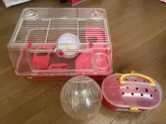 廃盤品 ハムスターのケージ 家 リス カゴ ヒメうずら うずら - メルカリ