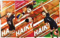 ハイキュー!! キャラクターグッズまとめ売り クリアファイル 日向翔陽 影山飛雄