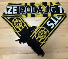 オランダ サッカークラブADOデン・ハーグ（ADO Den Haag）