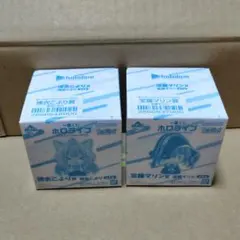一番くじ ホロライブ ちょこのっこ フィギュア 2種セット