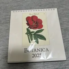 cavallini 卓上カレンダー　ボタニカ　2025