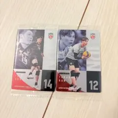 ★2枚セット★ バレーボール男子日本代表 ウエハース 石川祐希 高橋藍