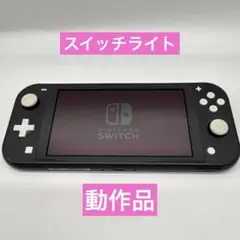 【動作品】Nintendo Switch Lite グレー