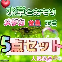 ❤️水草とおもりの５点セット　アナカリス　メダカ　金魚　エビのサムネイル