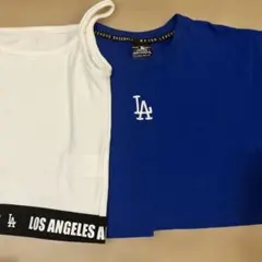 Item thumbnail for item 487d7f60-b096-4137-af30-2d436f1b9da4