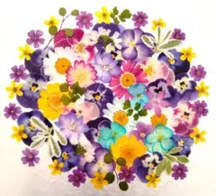 押し花素材　なーた様専用でございます