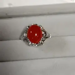 Item thumbnail for item ff347a16-4dc6-4178-b920-c6ba9d7e1a90