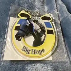 Item thumbnail for item 792c582a-248d-43c8-a34f-e6abaccc2cb4