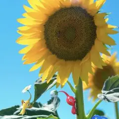 akkun様