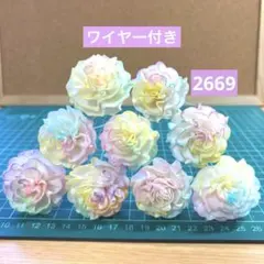 ソラフラワー　2669