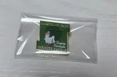 鬼滅の刃 無限城編 キャラクターモチーフピンズ 竈門炭治郎