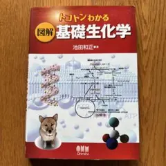 Item thumbnail for item f017fd28-ad11-48c3-82c8-3bdd4255fc6c