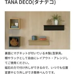 ニチレイマグネットHEYADECO タナデコ マグネットタイプ