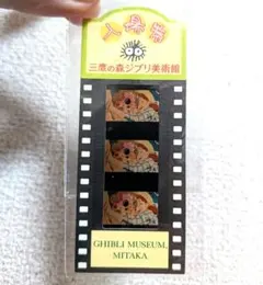 Item thumbnail for item 9d3a9a77-aa52-40aa-bab3-970841fb84df