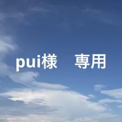pui様　専用