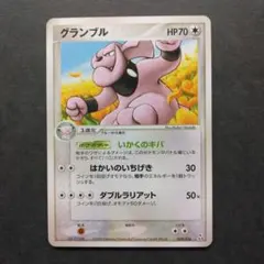 PSA10】グランブル PCG 構築済みスターター オーダイルex☆水 - メルカリ
