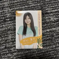 Item thumbnail for item d01a545d-9477-494a-9f1a-feec0e2138e6