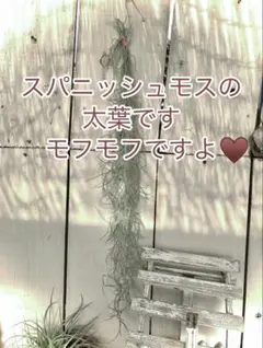 RYO様専用ページです‼️