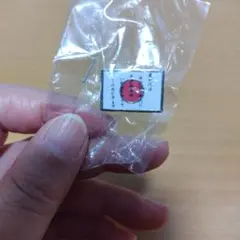 新品　ピンバッジ　君が代　日の丸　国歌ピンバッジ