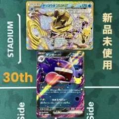 30th 포켓몬 カードゲームゲンガーex RR076 개굴닌자 BREAK157