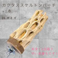 Item thumbnail for item 24805e1e-0f9f-4d1d-8c40-424ed5e0fc4b