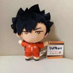 ハイキュー 黒尾鉄朗 にとたん ぬいぐるみ ペイントスーツ ボール