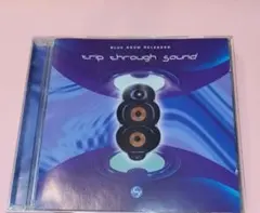 BLUE ROOM TRIP THROUGH SOUND GOA TRANCEのサムネイル