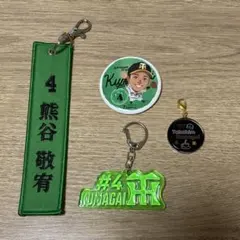 阪神タイガース 熊谷敬宥 選手応援グッズ3点セット