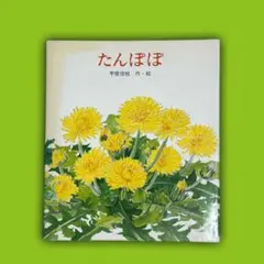 Item thumbnail for item 014c545a-3dff-4aed-ab2b-f2ce306fc84f