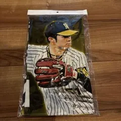 B*U様 森永カラースタンド 豊田泰光 プロ野球カードみ組立 - メルカリ