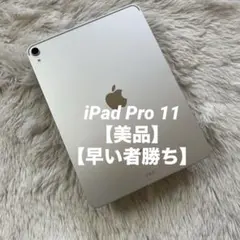 【完動品】iPad Pro 11インチ 第1世代 256GB 【すぐ発送】