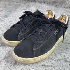 Item thumbnail for item 83d32452-a195-4fb7-9da3-92db8f7ea28f