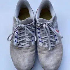 n*y様 ナイキペガサス39
