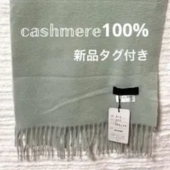 Item thumbnail for item 8b210bf0-4788-4dc6-bd50-e7441b50f881