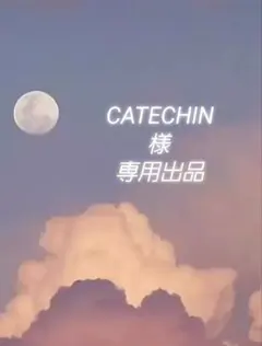 CATECHIN様 リクエスト 2点 まとめ商品